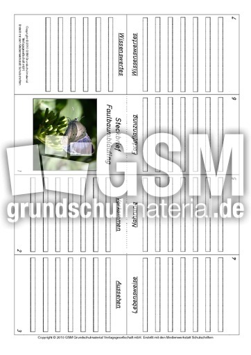 Faltbuch-Faulbaumbläuling.pdf